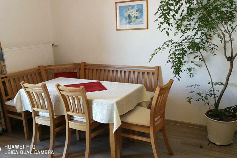 Bio-Bauernhof Greiml Apartment Grobming Ngoại thất bức ảnh